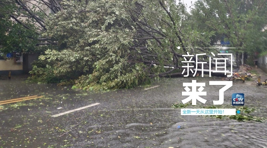 “山竹”怒過，高空塔吊你還好嗎？